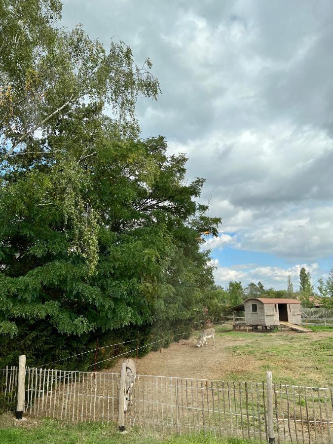 Apartament Lieblingsplatz Parey - Tiny House Zewnętrze zdjęcie